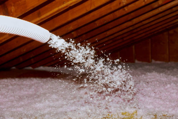  Pharr, TX Insulation Contractor Pros