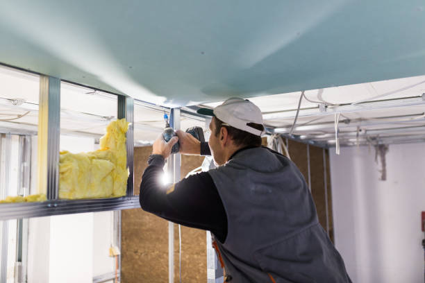 Best Attic Insulation Installation  in Pharr, TX