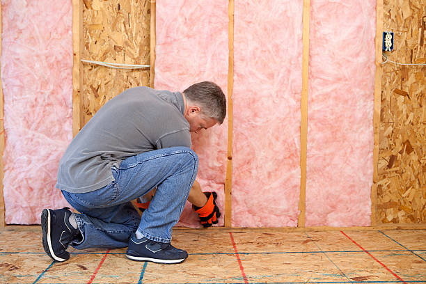 Best Residential Insulation Services  in Pharr, TX