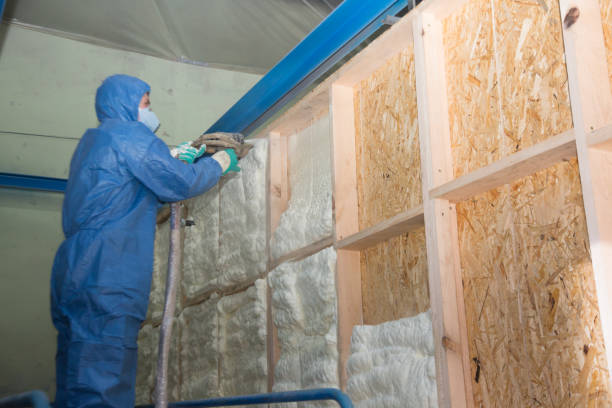 Best Affordable Insulation Services  in Pharr, TX